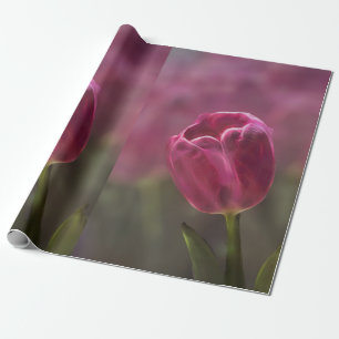 Pink Tulip Bokeh Wrapping Paper