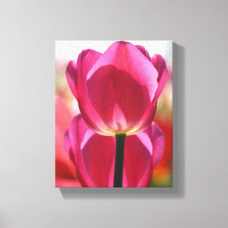 Pink Tulip Canvas
