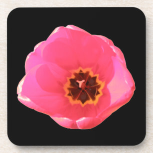 Pink Tulip Cork Coaster