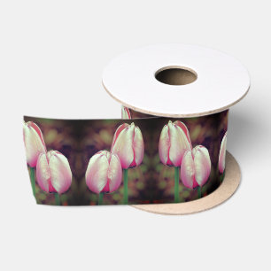Pink Tulip Flowers With Raindrops  Satin Ribbon