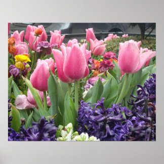 Pink Tulip Forest Poster