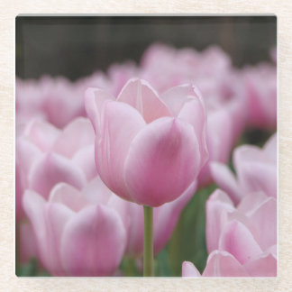 Pink tulip glass coaster