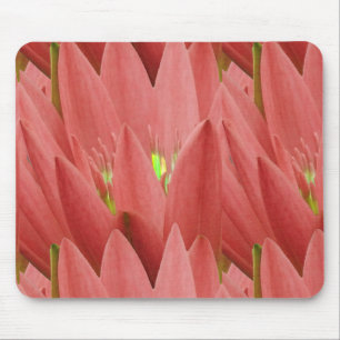 Pink Tulip Mouse Pad