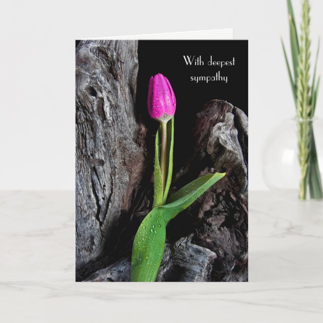 pink tulip on driftwood sympathy card (Front)