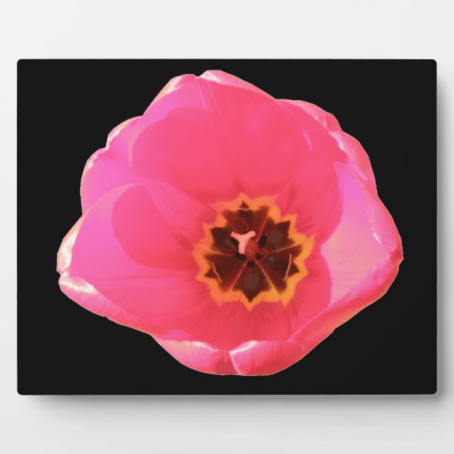 Pink Tulip Plaque (Front)
