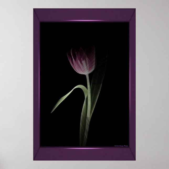 Pink Tulip Print (Front)