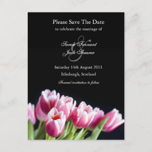 Pink Tulip Save The Date Postcard