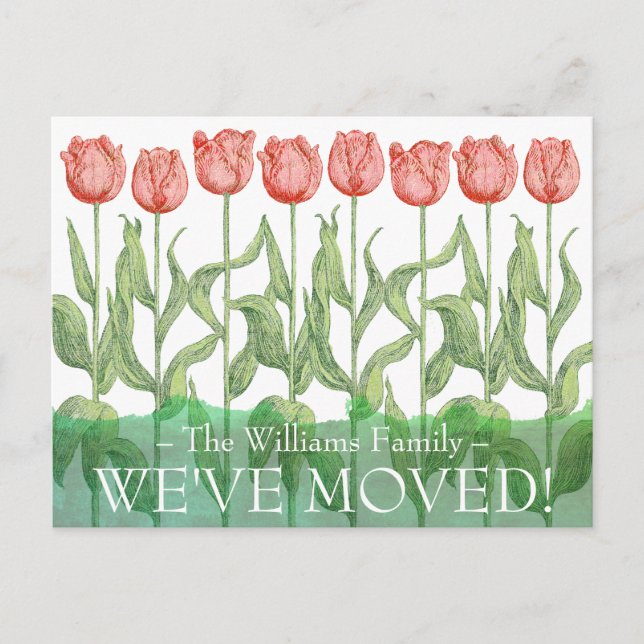 Pink Tulip Spring Flower Floral Moving Postcard (Front)