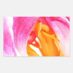 pink tulip sticker
