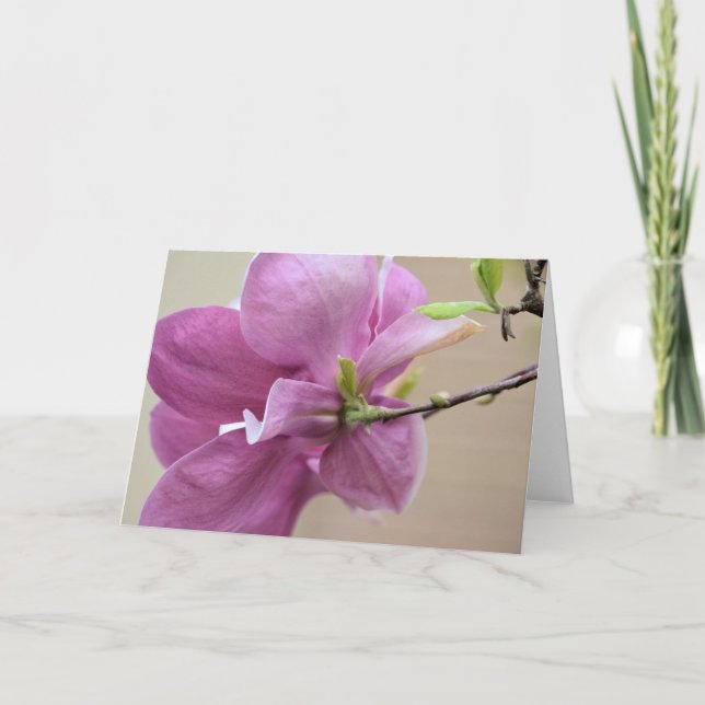 Pink Tulip Tree Flower Card (Front)