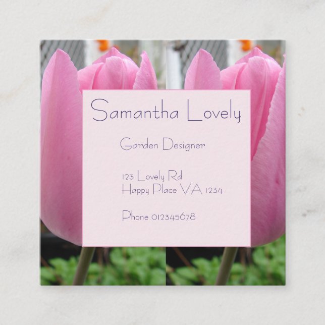 Pink Tulip Tulips Garden Square St Enclosure Card (Front)