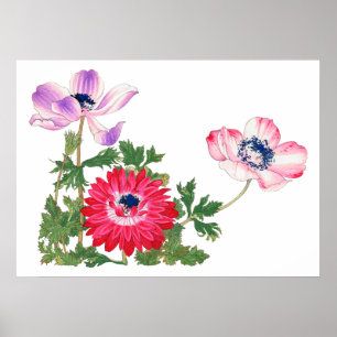 Pink tulip , vintage Japanese art Poster