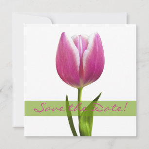 Pink Tulip Wedding Save the Date Announcement