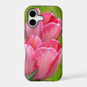 Pink Tulips