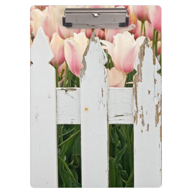 pink tulips and old fence clipboard (Front)