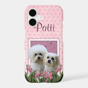 Pink Tulips - Bichon and Maltese