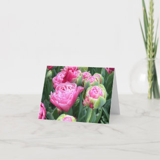 Pink Tulips Blank Note Cards