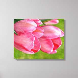 Pink Tulips Canvas Print