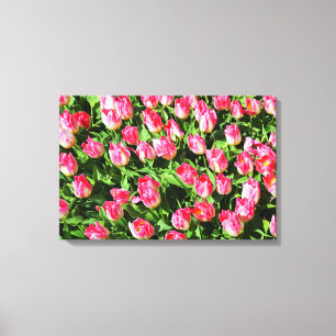 Pink tulips canvas print
