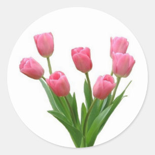 pink tulips - customizable classic round sticker