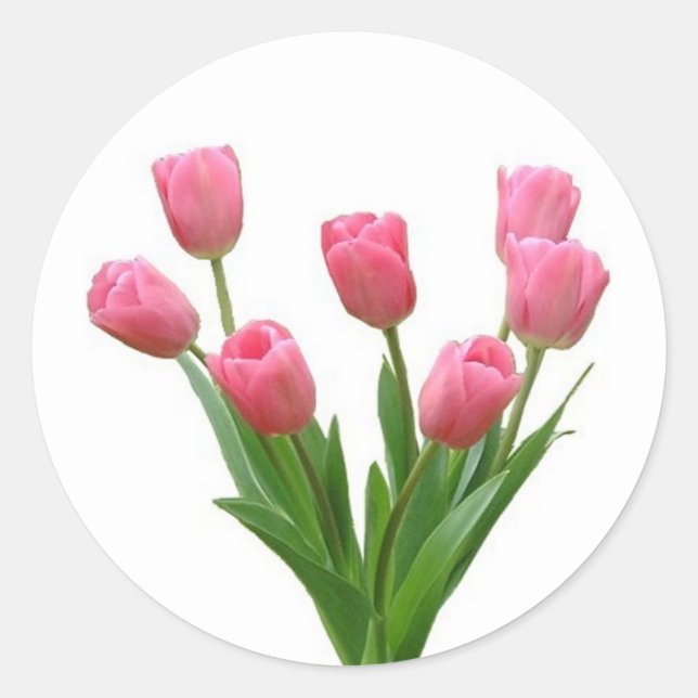 pink tulips - customizable classic round sticker (Front)