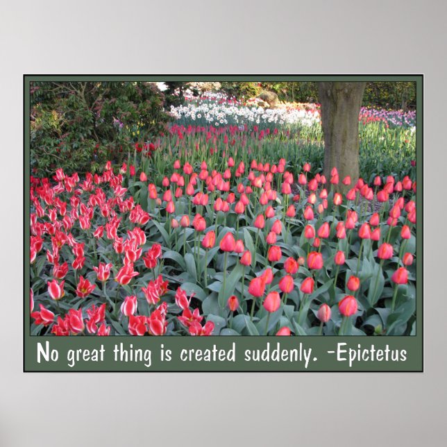 Pink Tulips Epictetus Quote Poster (Front)