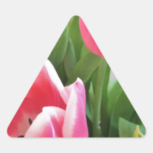 Pink Tulips, Floral Spring Bouquet, Flowers Triangle Sticker