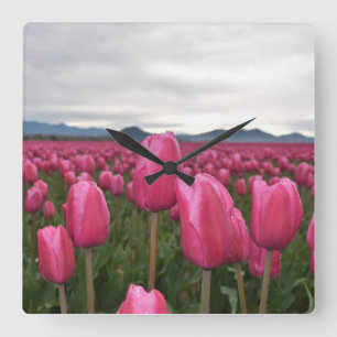 Pink Tulips Flowers Acrylic Wall Clock