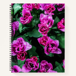 Pink tulips flowers notebook