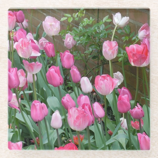 Pink Tulips Glass Coaster (Front)