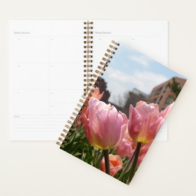 Pink Tulips in Boston Planner (Display)