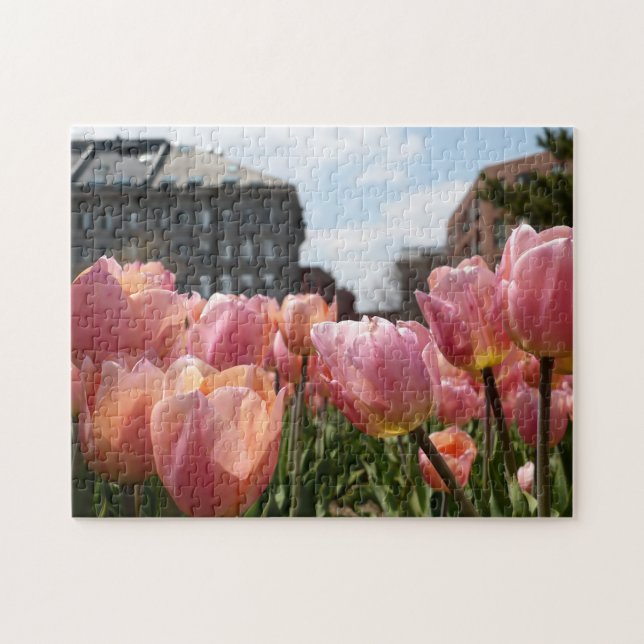 Pink Tulips in Boston's North End Jigsaw Puzzle (Horizontal)