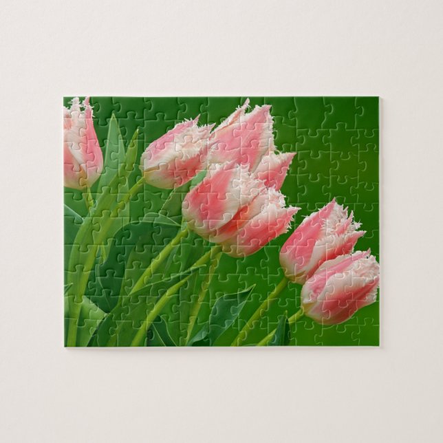 Pink Tulips jeu Puzzle (Horizontal)