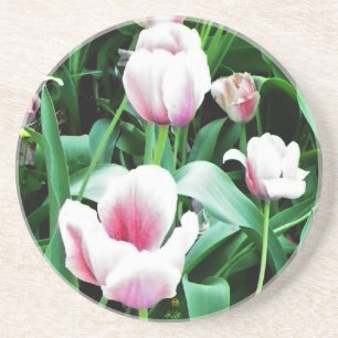 Pink Tulips Picture Coaster