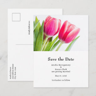 Pink Tulips with Green Leaves Photo Wedding Announcement Postcard