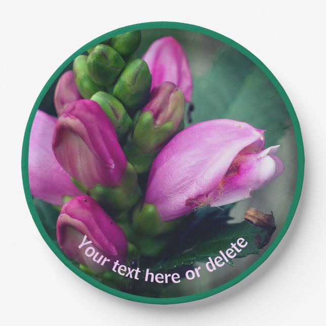 Pink Turtlehead Flower Personalized Party   Paper Plate (Front)