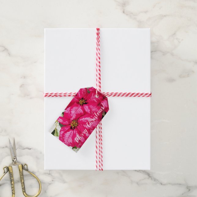 Pink Variegated Poinsettias Holiday Gift Tags (With Twine)