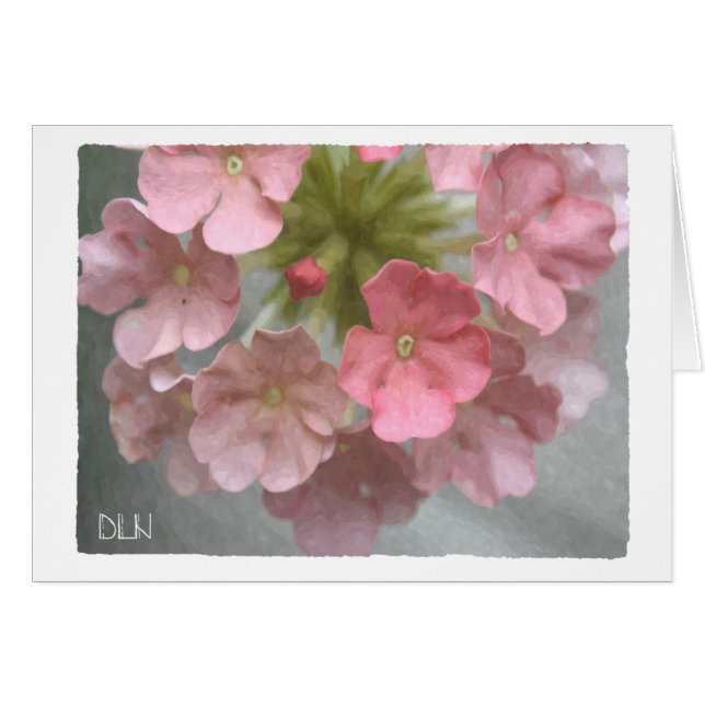 Pink Verbena/Floral  Art (Front Horizontal)