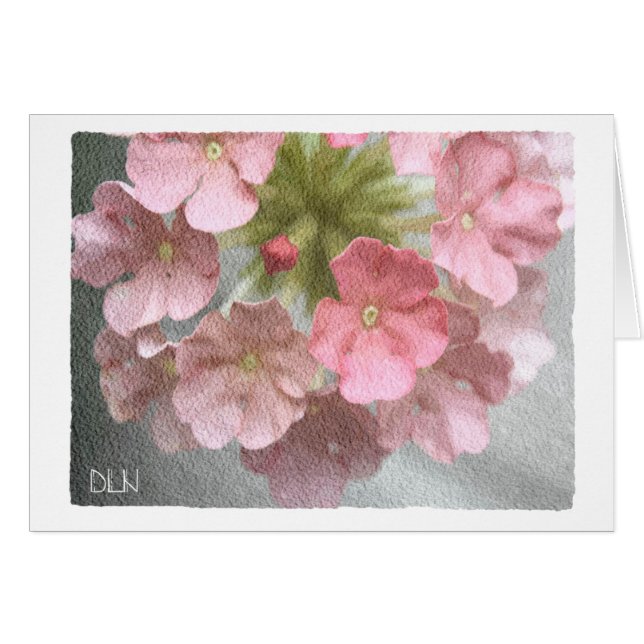 Pink Verbena/Floral  Art/Watercolor Look (Front Horizontal)