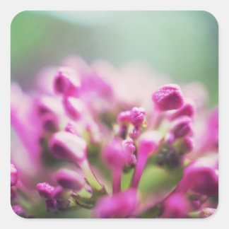 Pink vintage macro bokeh flower square sticker