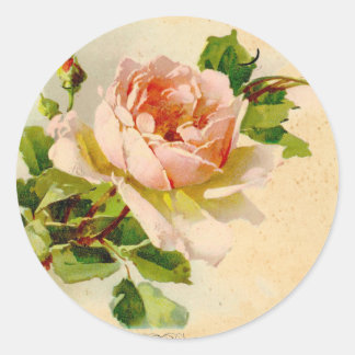 Pink Vintage Rose Watercolor Painting Classic Round Sticker