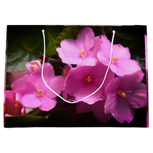 Pink Violette Africaine Saintpaulia Flowers Large Gift Bag