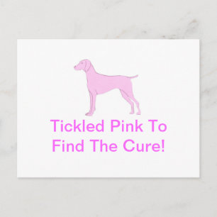 Pink Vizsla Postcard