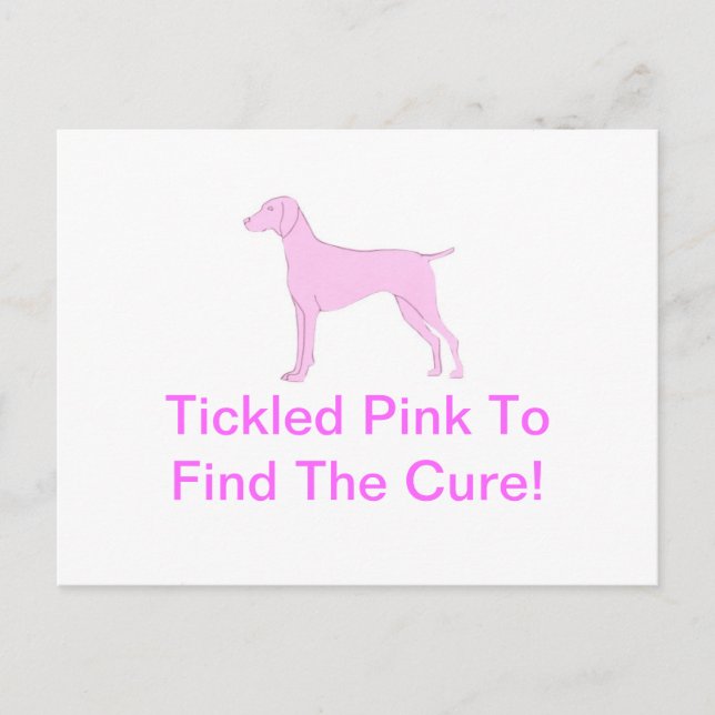 Pink Vizsla Postcard (Front)