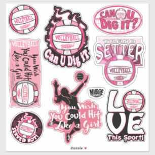 Pink Volleyball Rocks