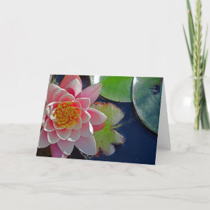 Pink Water Lily Card