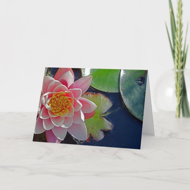 Pink Water Lily Card (Front)