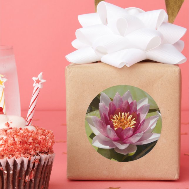 Pink Water Lily Classic Round Sticker (Party)