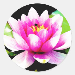 Pink water lily classic round sticker