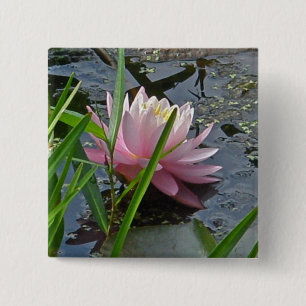 Pink Water Lily Coordinating Items 2 Inch Square Button